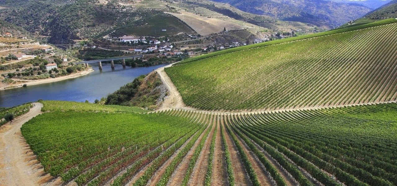 Golf tour Douro Valley